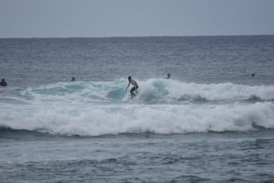 DSC_9591.JPG
