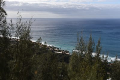 DSC_2318.JPG