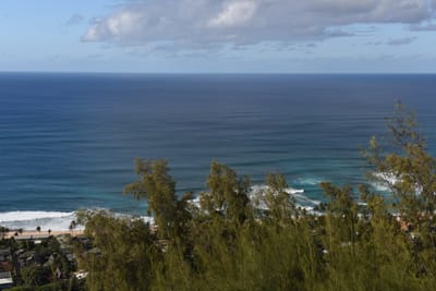 DSC_2322.JPG