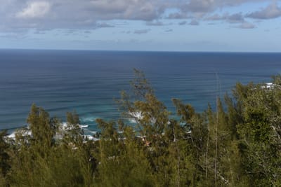 DSC_2323.JPG