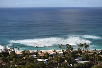 DSC_2336.JPG