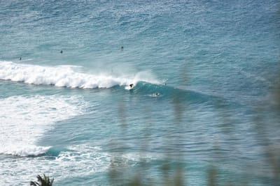 DSC_9599.JPG