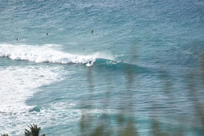 DSC_9600.JPG