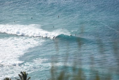 DSC_9601.JPG