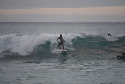 DSC_2433.JPG