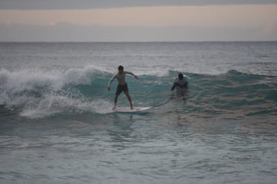 DSC_2436.JPG