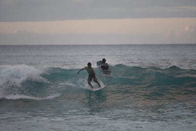 DSC_2437.JPG