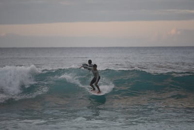 DSC_2438.JPG