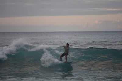 DSC_2440.JPG