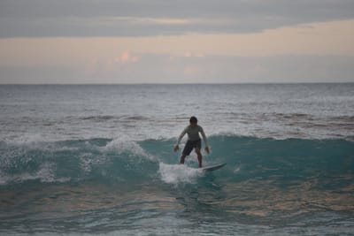 DSC_2443.JPG