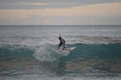 DSC_2444.JPG