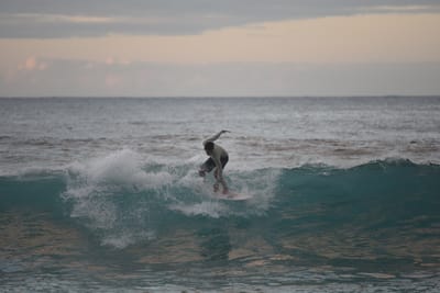 DSC_2445.JPG