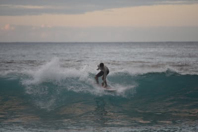 DSC_2446.JPG