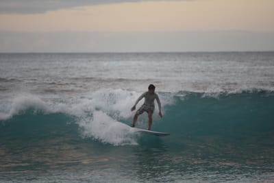DSC_2449.JPG