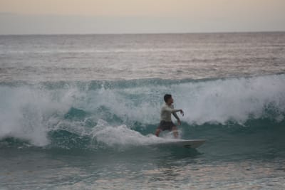 DSC_2454.JPG
