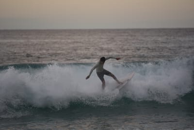 DSC_2456.JPG