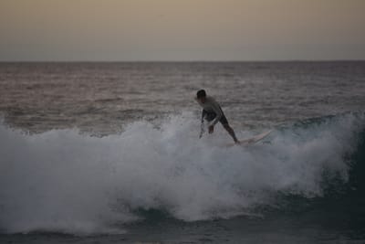 DSC_2459.JPG