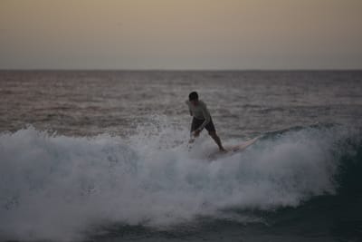 DSC_2460.JPG