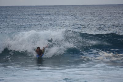 DSC_9611.JPG