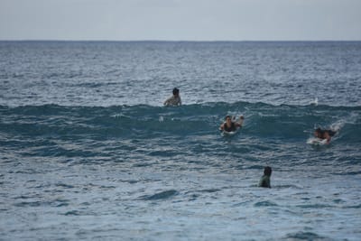 DSC_9636.JPG