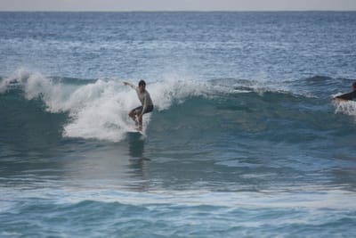 DSC_9646.JPG