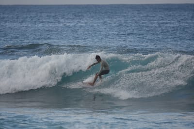 DSC_9650.JPG