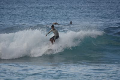 DSC_9653.JPG