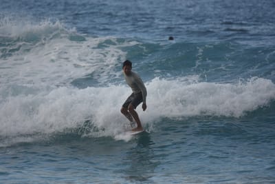 DSC_9661.JPG