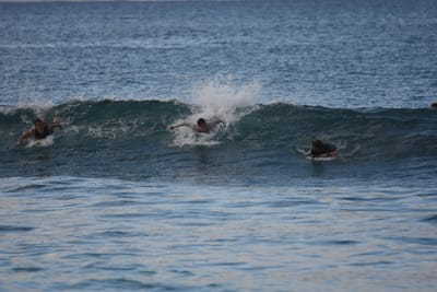 DSC_9699.JPG