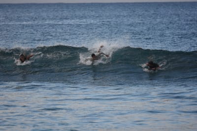 DSC_9700.JPG