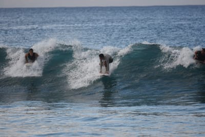 DSC_9702.JPG