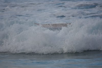 DSC_9728.JPG