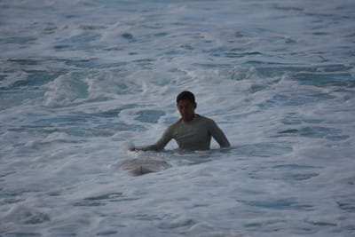 DSC_9730.JPG