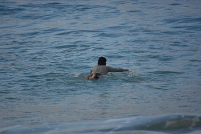 DSC_9731.JPG