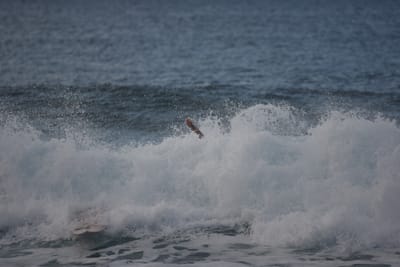 DSC_9753.JPG