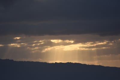 DSC_9755.JPG