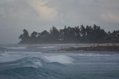 DSC_9764.JPG