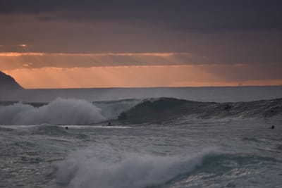 DSC_2377.JPG