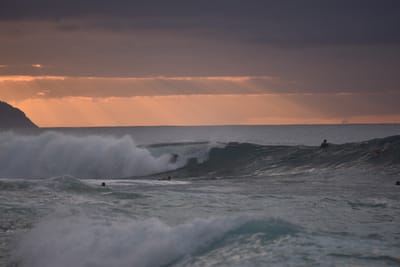 DSC_2378.JPG