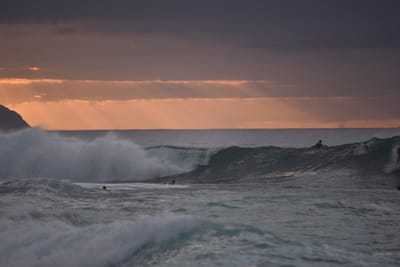 DSC_2379.JPG