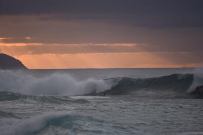 DSC_2380.JPG