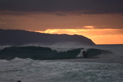 DSC_2384.JPG