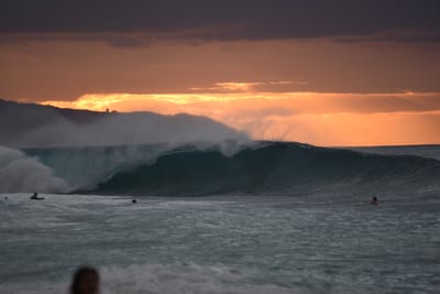 DSC_2393.JPG