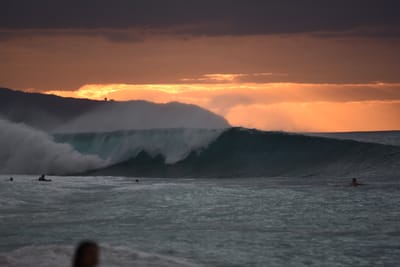 DSC_2394.JPG