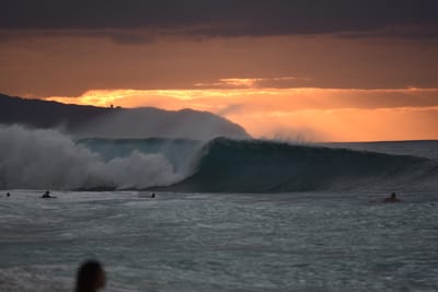 DSC_2395.JPG