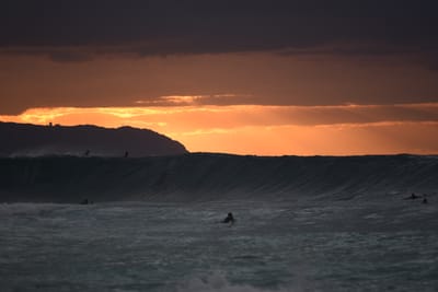 DSC_2400.JPG