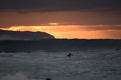 DSC_2401.JPG