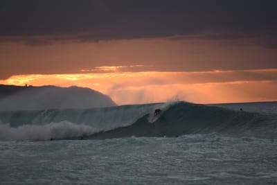 DSC_2407.JPG
