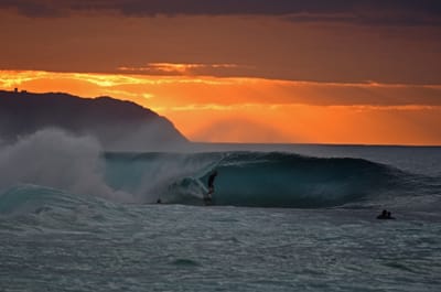 DSC_2417e.jpg
