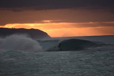 DSC_2419.JPG